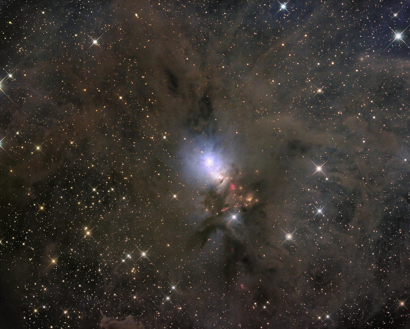 NGC 1333 - Dunkle Wolken im Sternbild Perseus
