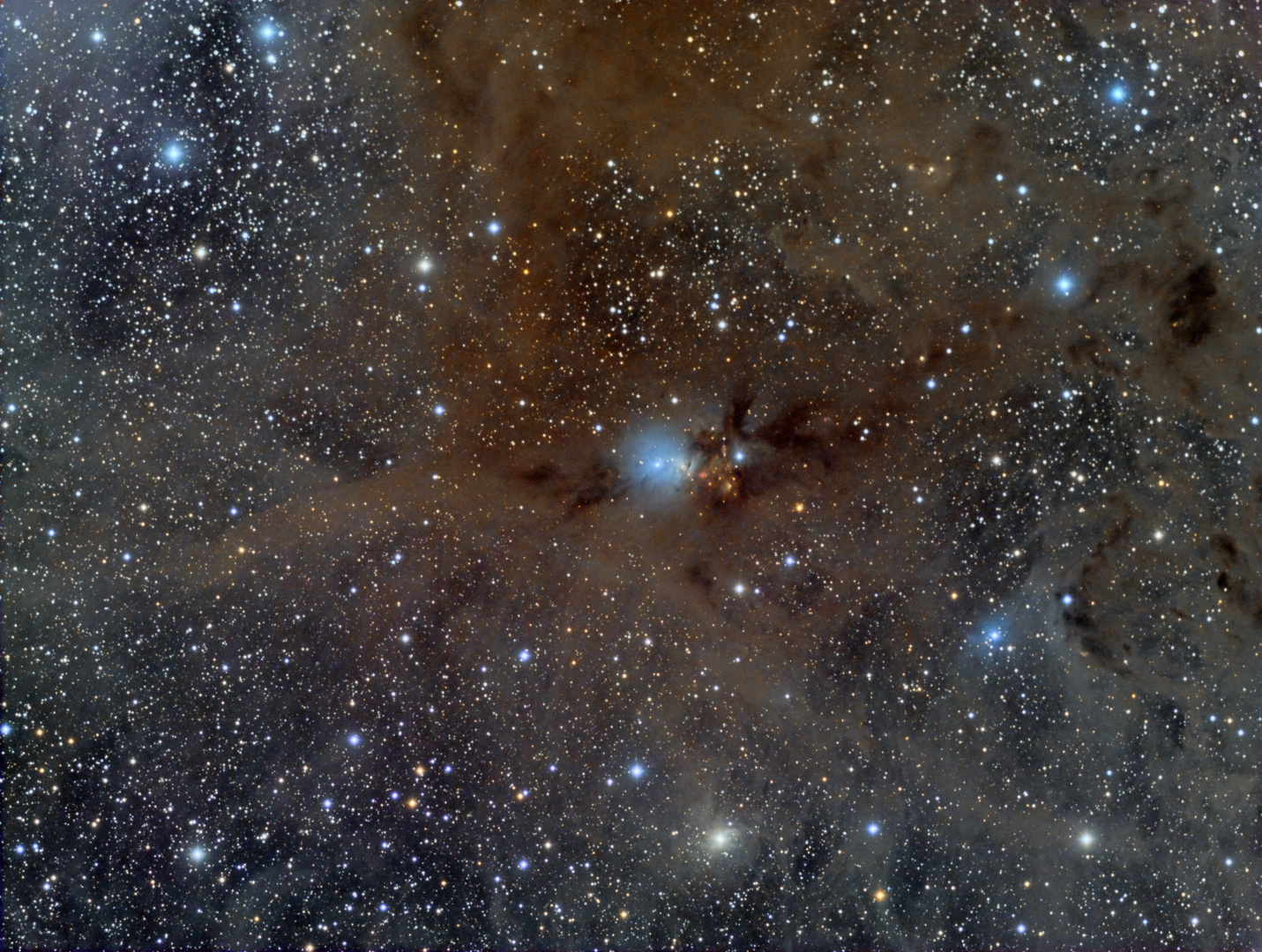 NGC 1333 - ein Sternentsehungsgebiet im Perseus