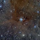 NGC 1333 - ein Sternentsehungsgebiet im Perseus