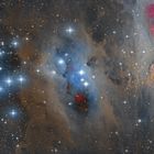 NGC 1977 der Running Man Nebula