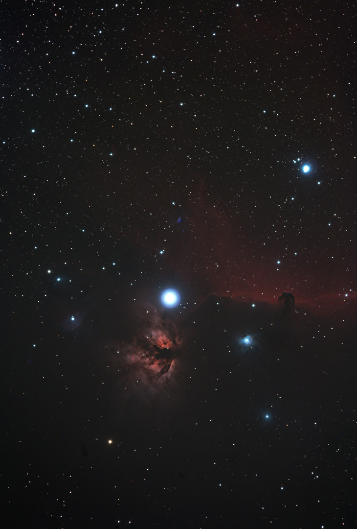NGC 2024 + IC 434