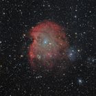 NGC 2174 - Affenkopfnebel