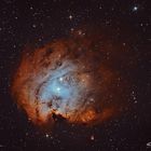 NGC-2175 