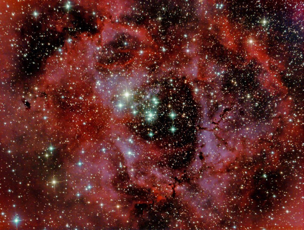 NGC 2238