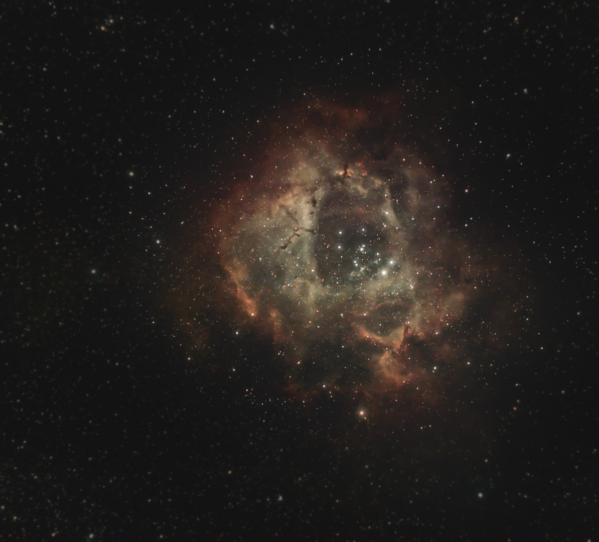 NGC 2244