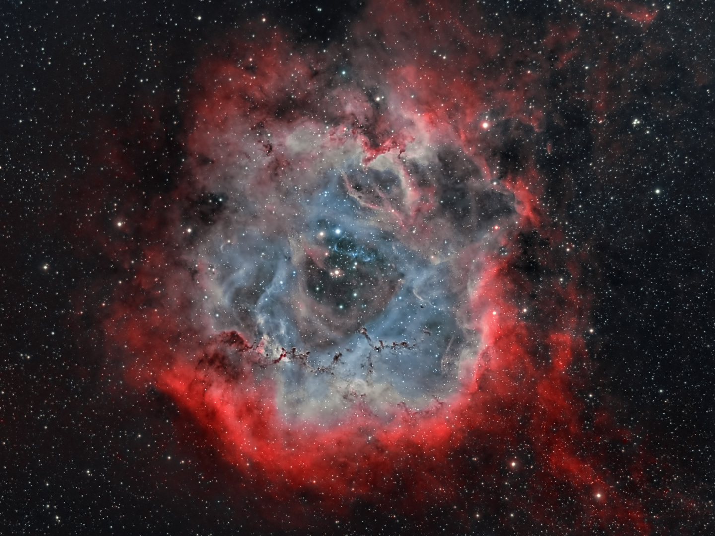 NGC 2244 - der Rosettennebel in der Bicolor Technik