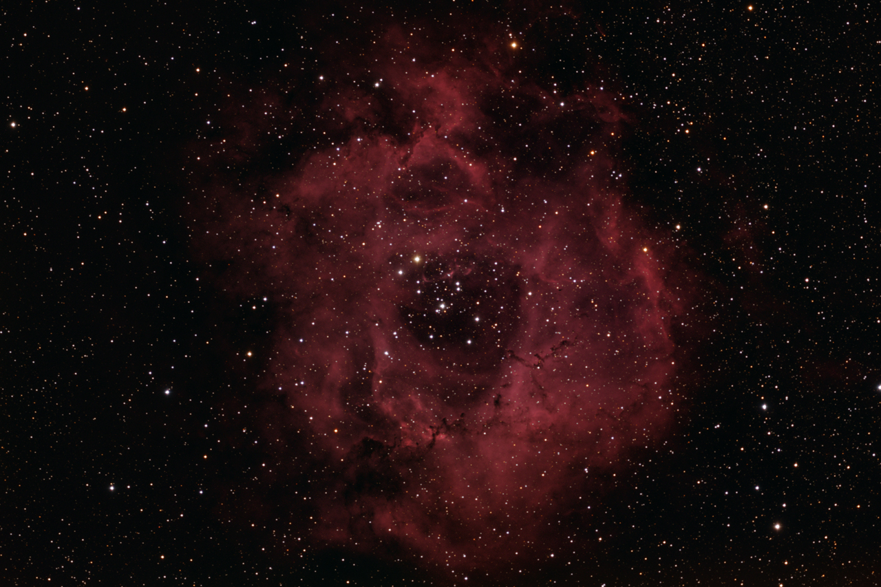 NGC 2244 mit Rosettennebel