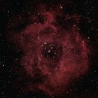 NGC 2244 mit Rosettennebel