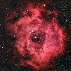 NGC 2244 mit Rosettennebel *Finale Version*