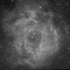 NGC 2244 mit Rosettennebel in H-Alpha