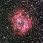 Ngc 2244 Rosettennebel