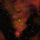 ... NGC 2264 ...