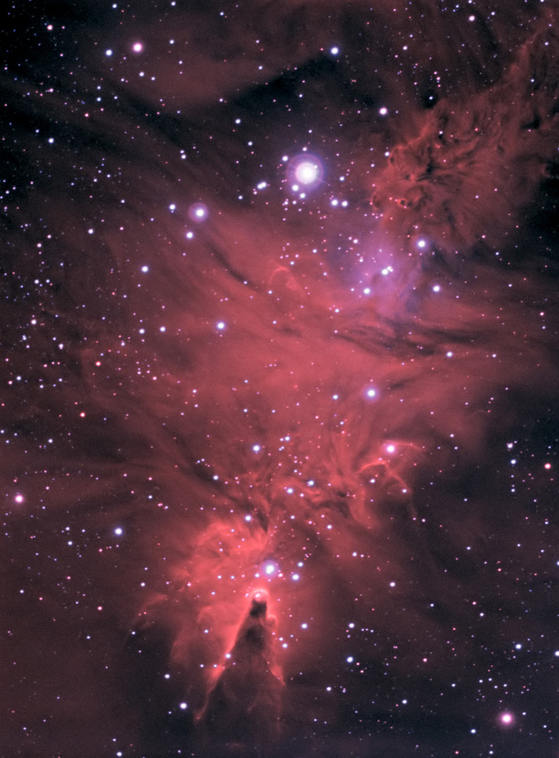 NGC-2264