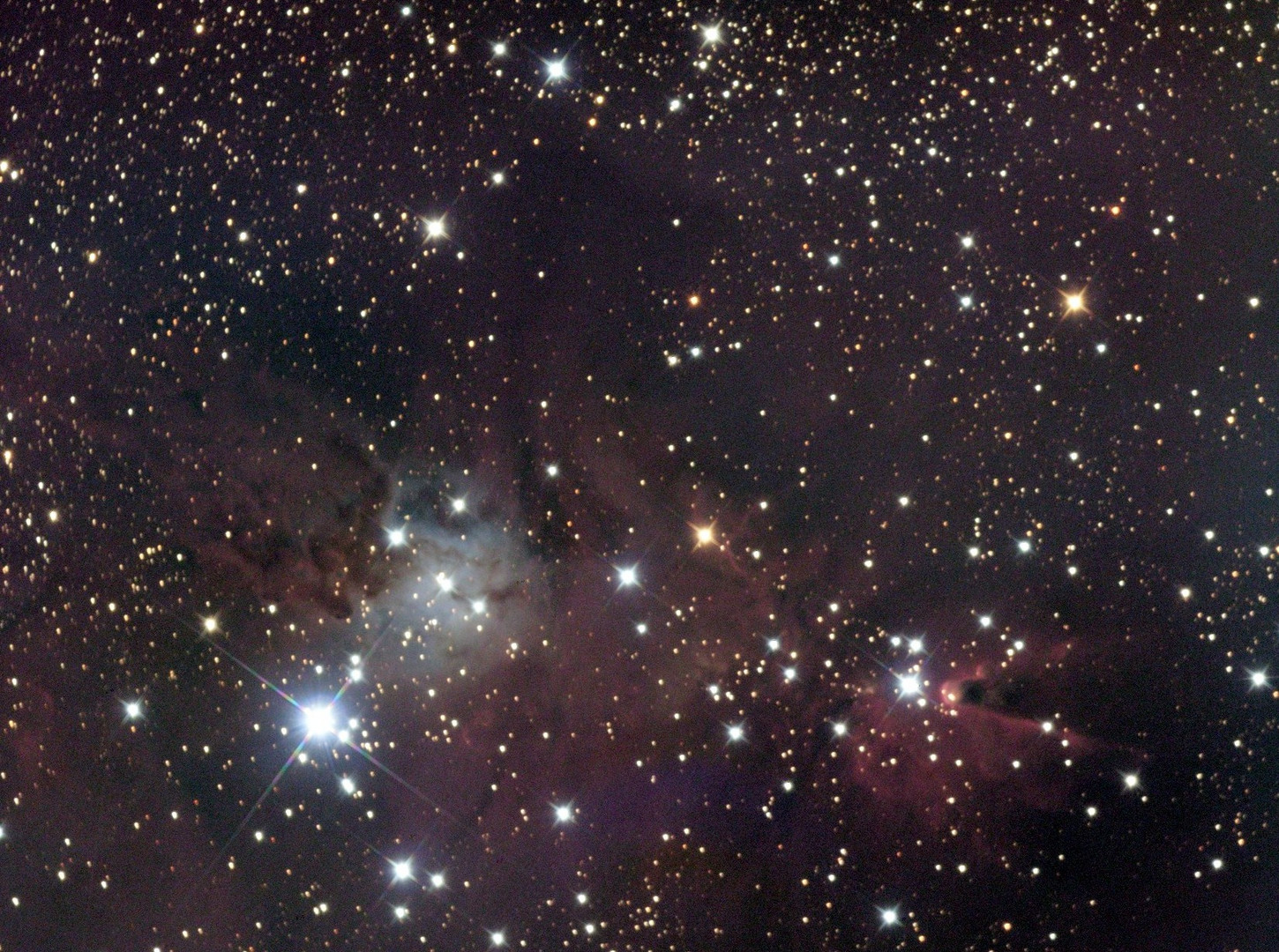 NGC 2264 im Sternbild Einhorn in ca. 2500 Lichtjahre Entfernung