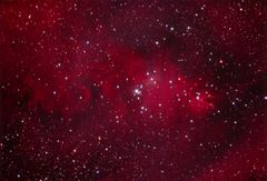 NGC 2264: Konus- und Fuchspelznebel mit Weihnachtsbaum Sterncluster