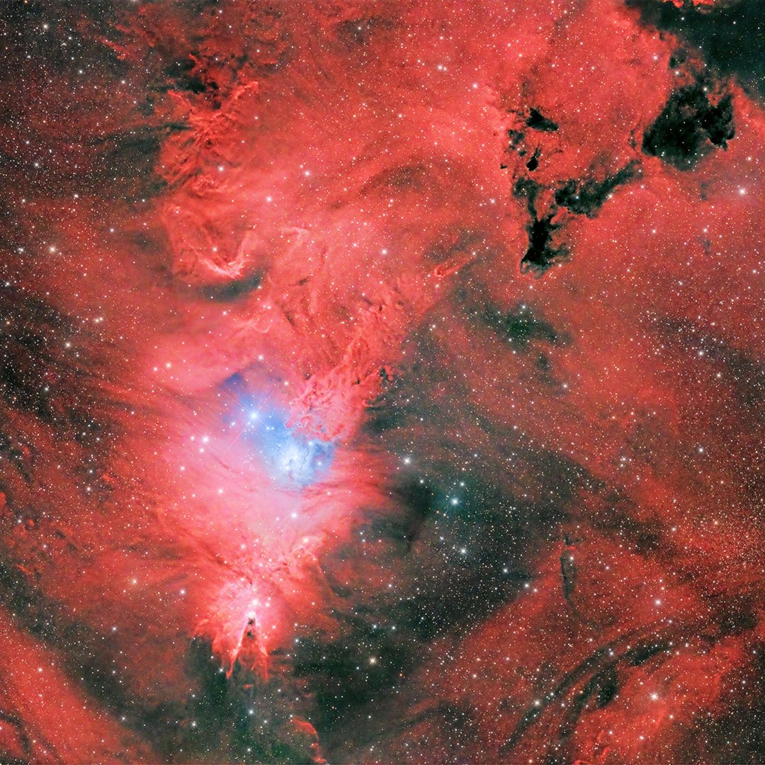 NGC 2264 Konusnebel