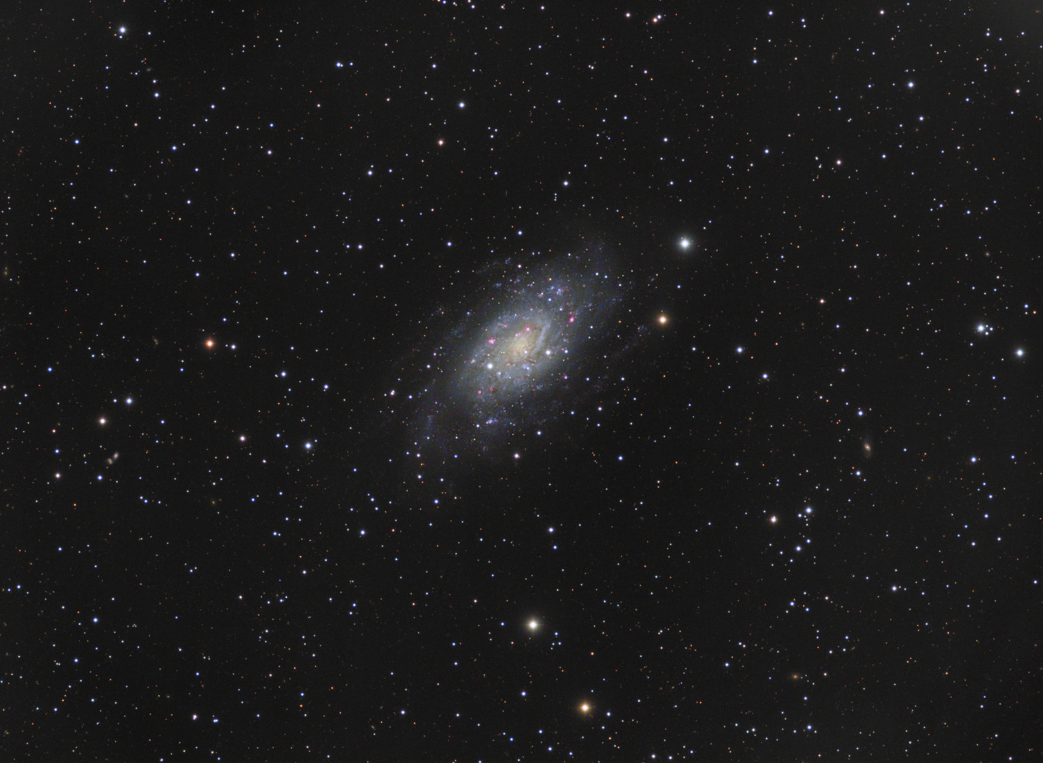 NGC 2403