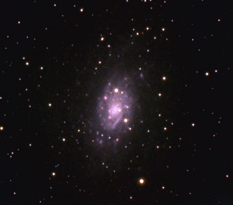 NGC 2403 die isolierte Galaxie