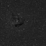 NGC 281 (IR)