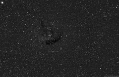 NGC 281 (IR)