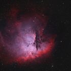 NGC 281 - Pacman Nebel im Sternbild Kassiopeia