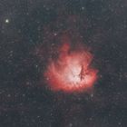 NGC 281 - Pacman Nebel Widefield