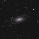 NGC 2903 - Eine Balkenspirale im Löwen