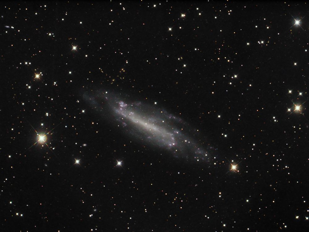 NGC 4236