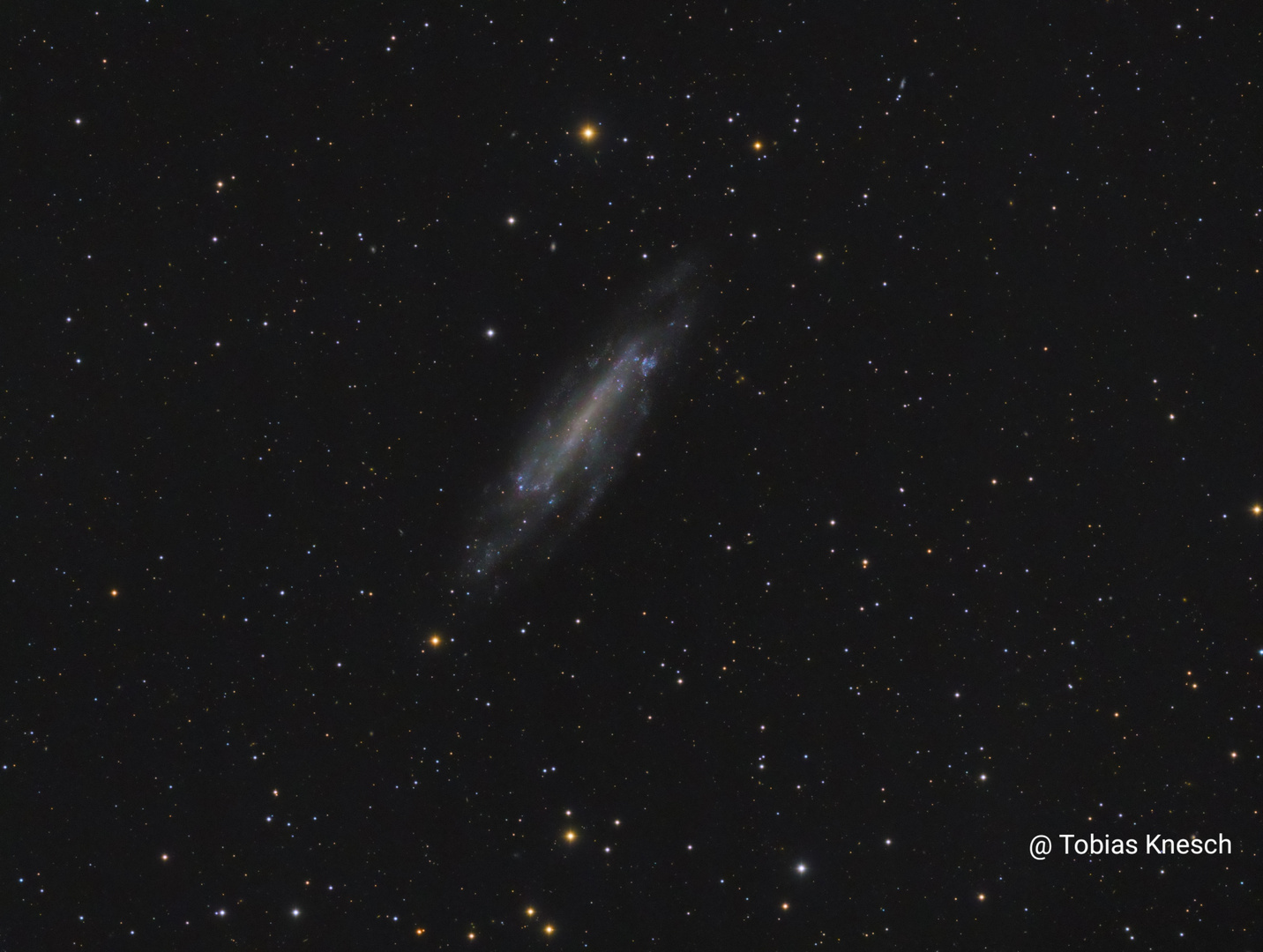 NGC 4236 im Sternbild Drache