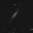 NGC 4236 im Sternbild Drache