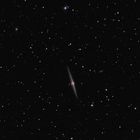 NGC 4565 - Galaxie in Kantenstellung