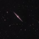 NGC 4565 - Nadelgalaxie