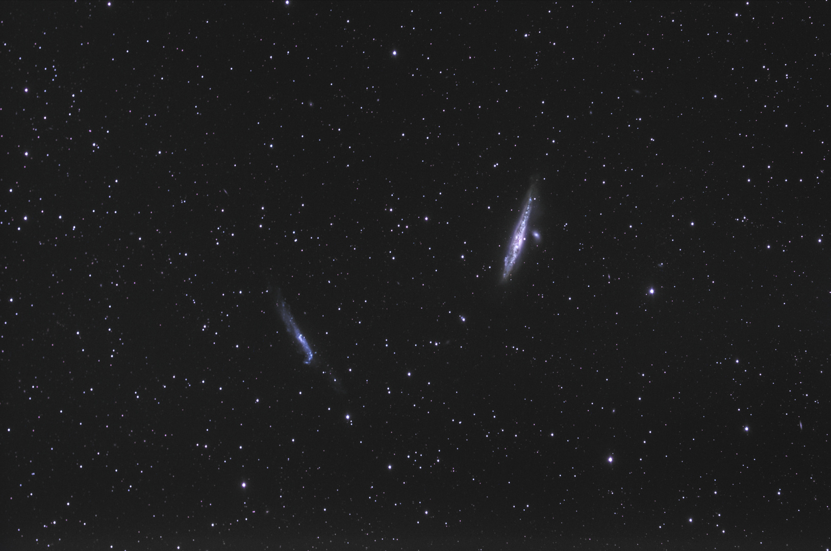 Ngc 4631 / Ngc 4656