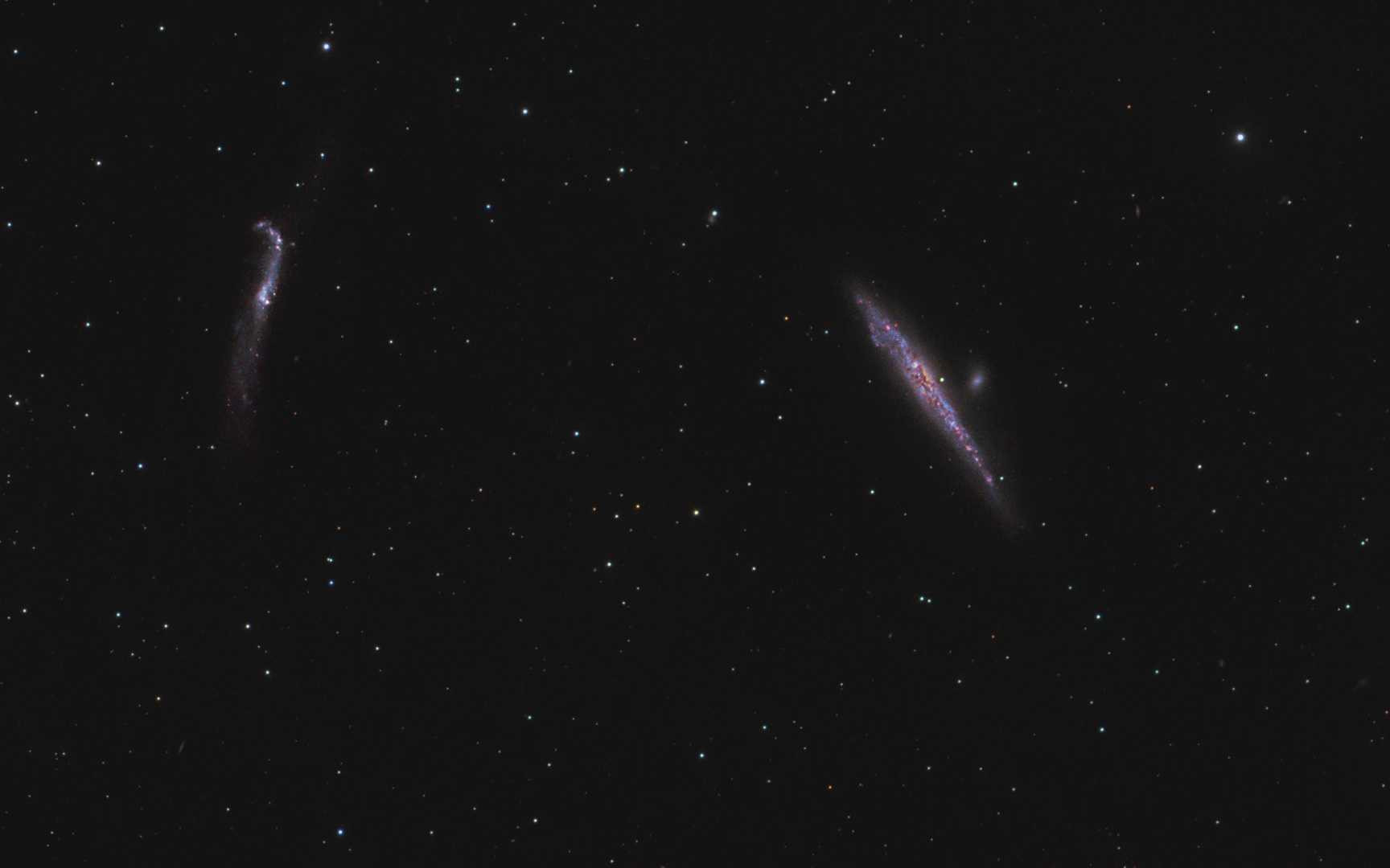 NGC 4656 NGC 4631 Foto & Bild fotos, spezial, himmel Bilder auf