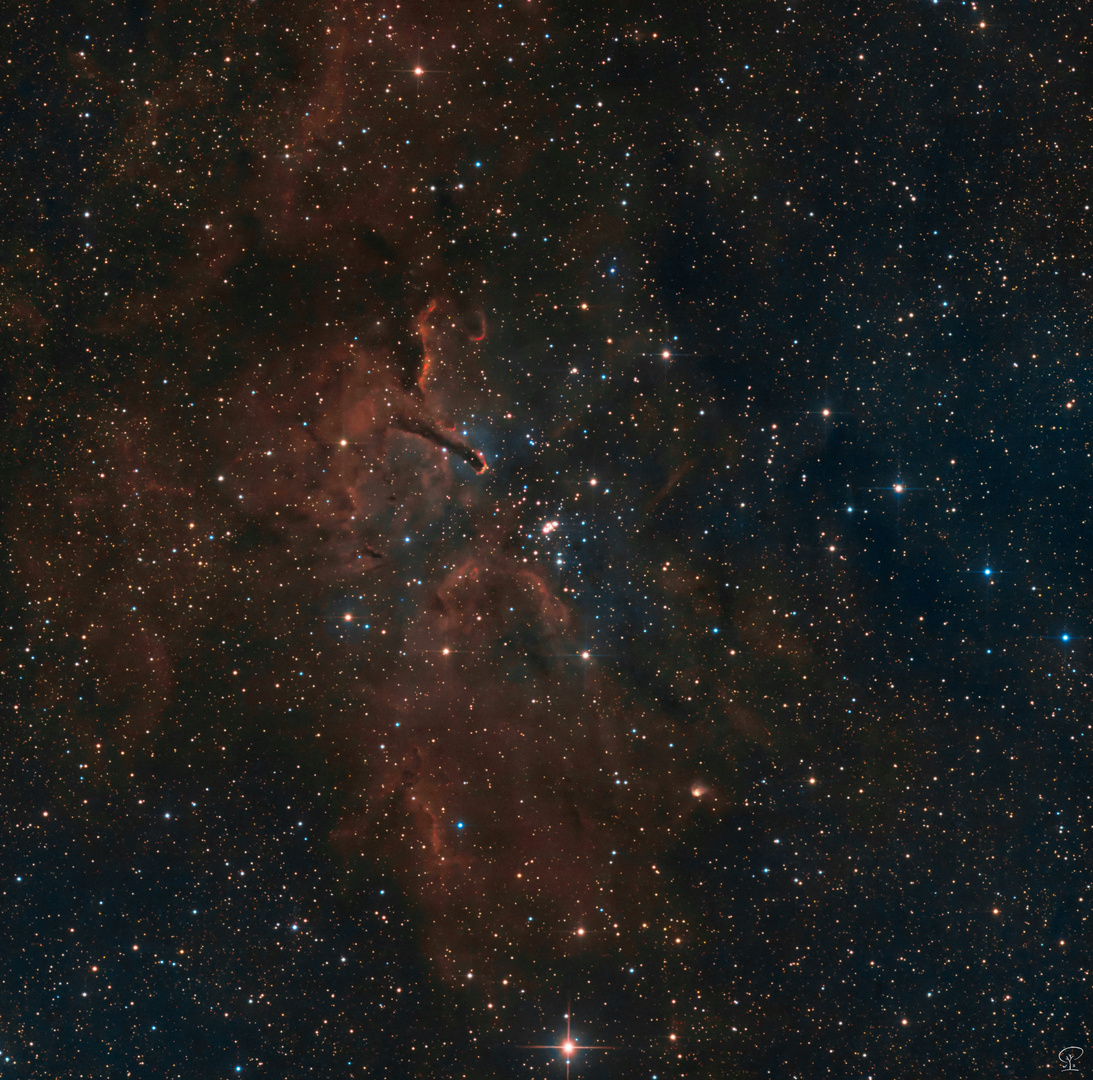 NGC 6823, offener Sternhaufen, umgeben von Nebulositäten