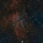 NGC 6823, offener Sternhaufen, umgeben von Nebulositäten