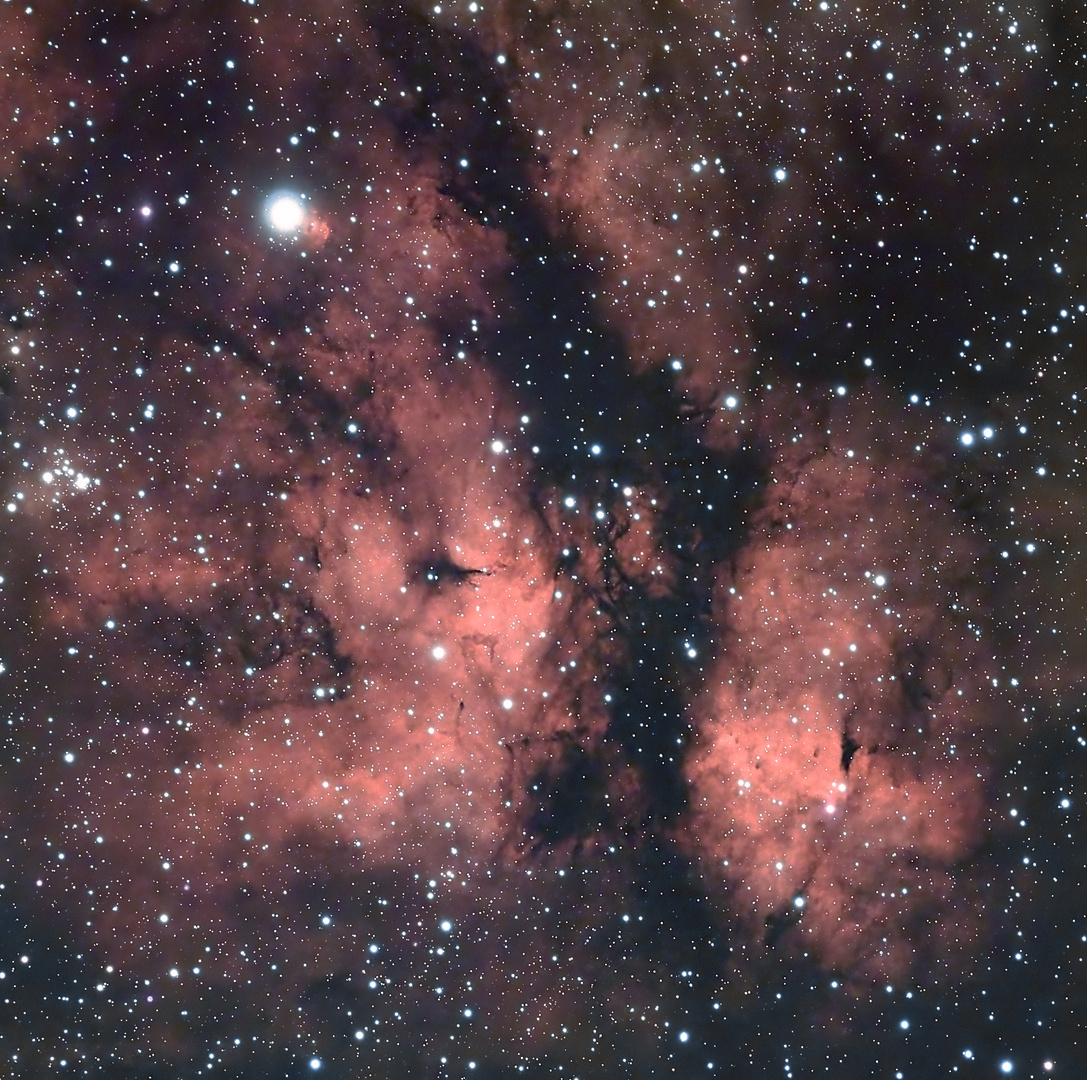 NGC 6910 / Sadr