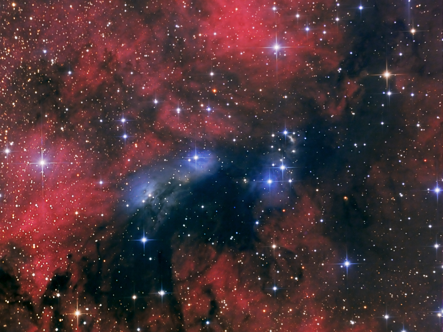 NGC 6914 ein bisschen Blau im Rot des Schwans ;-)