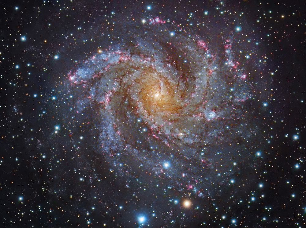 NGC 6946 - Cepheus