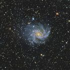 NGC 6946 - Feuerwerksgalaxie