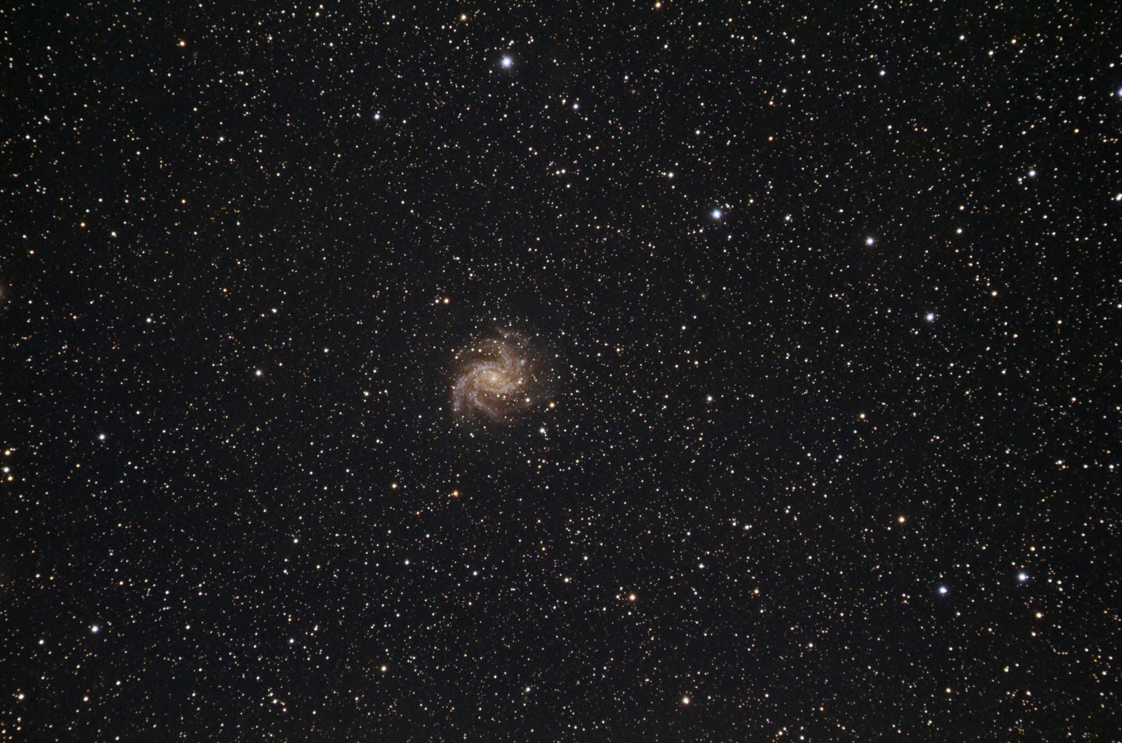 NGC 6946 mit Supernova