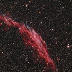 NGC 6992 (im östlichen Cirrusnebel)