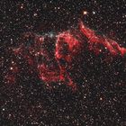 NGC 6995 (Eastern Veil Nebula)