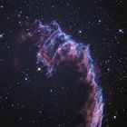 NGC 6995, Fledermausnebel