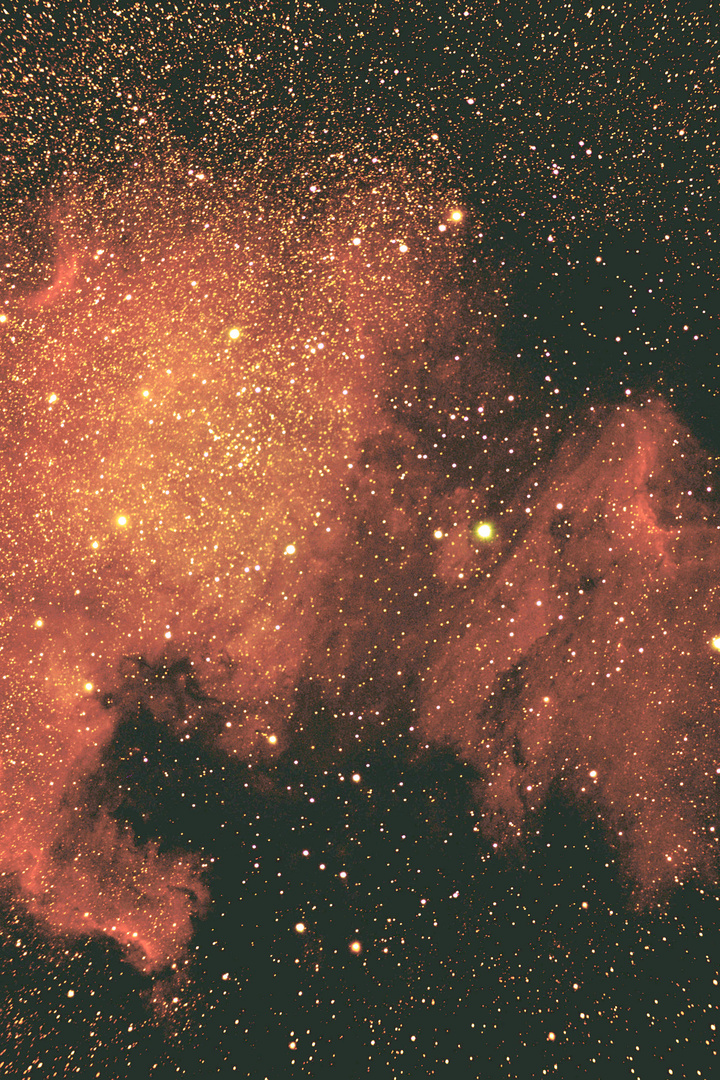 NGC 7000