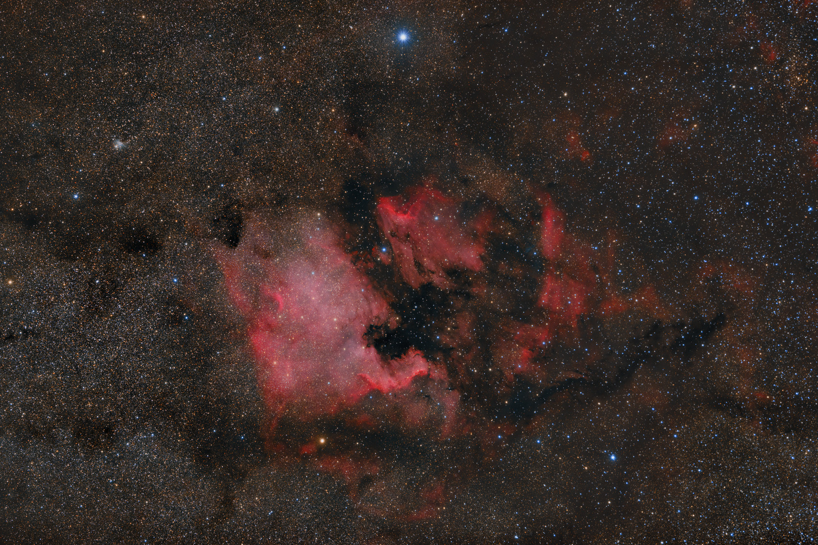 NGC 7000 and Friends