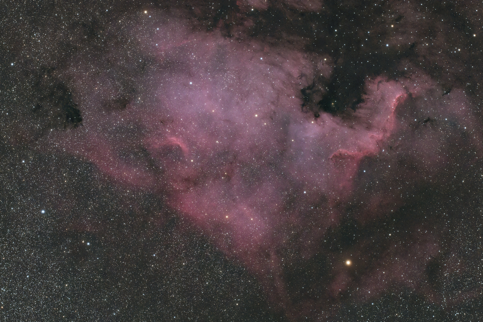 NGC 7000, B352, B356