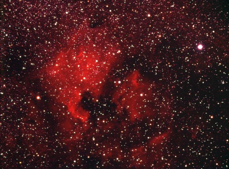 NGC 7000 der Nordamerikanebel