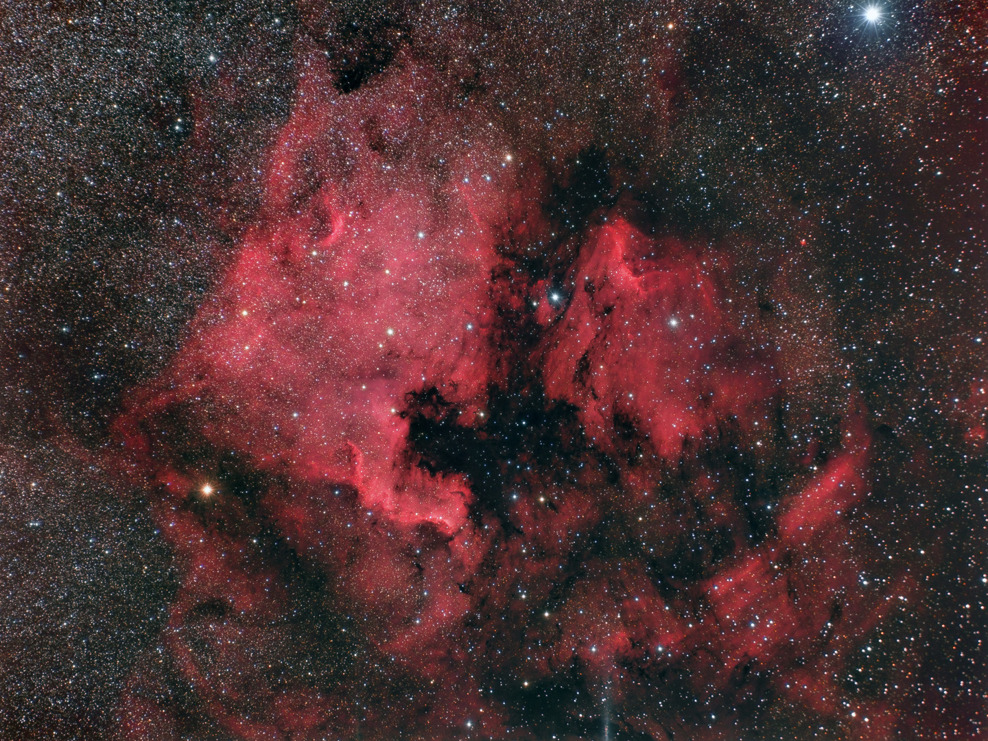 NGC 7000