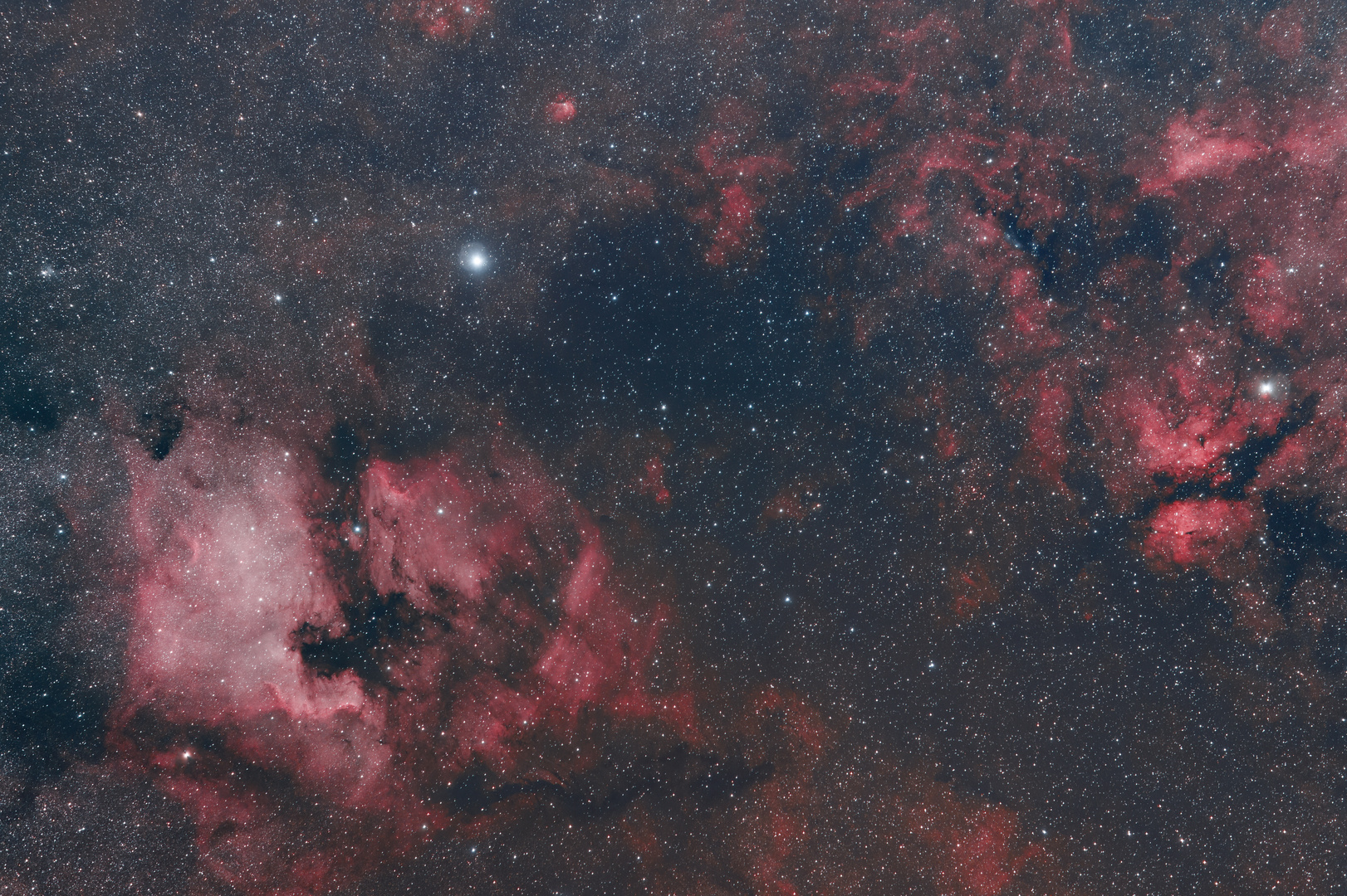 NGC 7000 & Friends